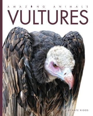 Amazing Animals Vultures by Riggs, Kate