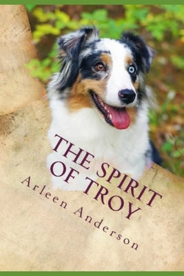 The Spirit of Troy by Anderson, Arleen McFadden
