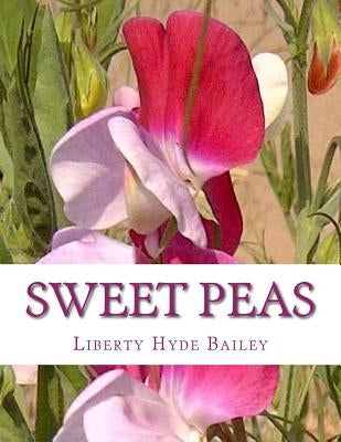 Sweet Peas by Chambers, Roger