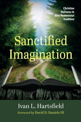 Sanctified Imagination by Hartsfield, Ivan L.