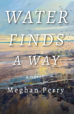 Water Finds a Way a Novel by Perry, Meghan