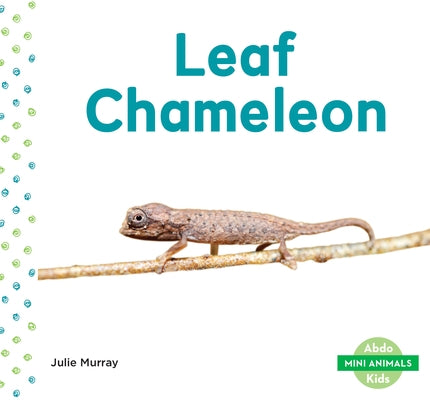 Leaf Chameleon by Murray, Julie