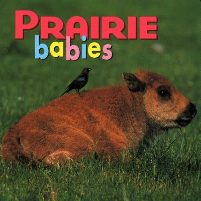 Prairie Babies by McCurry, Kristen