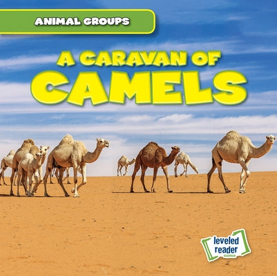 A Caravan of Camels by Lynch, Seth