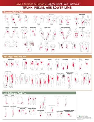 Travell, Simons & Simons' Trigger Point Pain Patterns Wall Chart: Trunk, Pelvis, and Lower Limb by Anatomical Chart Company