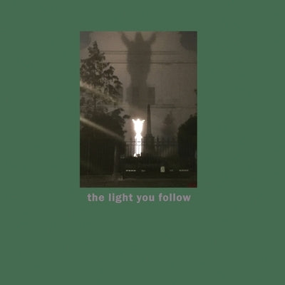 The light you follow by Jones, Ian P.