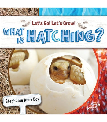 What Is Hatching? by Box, Stephanie Anne
