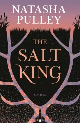 The Salt King by Pulley, Natasha
