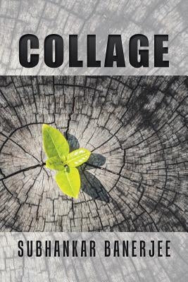 Collage by Banerjee, Subhankar