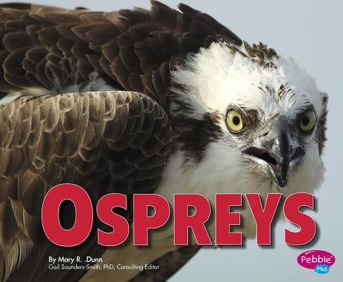 Ospreys by Saunders-Smith, Gail