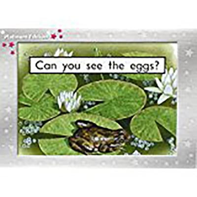 Can You See the Eggs?: Individual Student Edition Magenta (Levels 1-2) by Giles, Jenny
