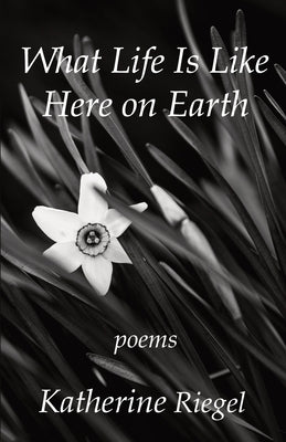 What Life Is Like Here on Earth by Riegel, Katherine