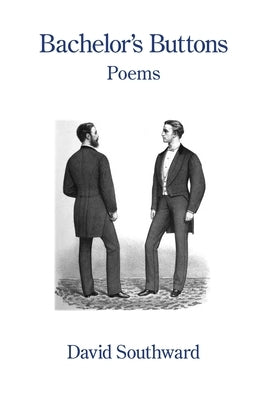 Bachelor's Buttons by Southward, David