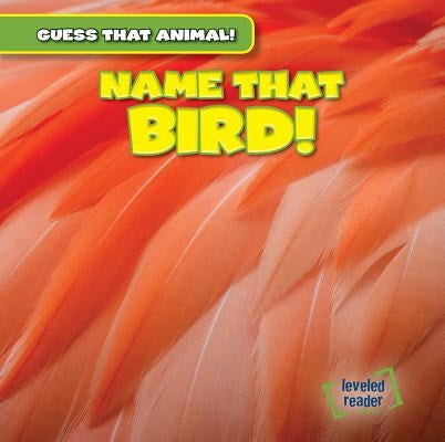 Name That Bird! by Jackson, Demi