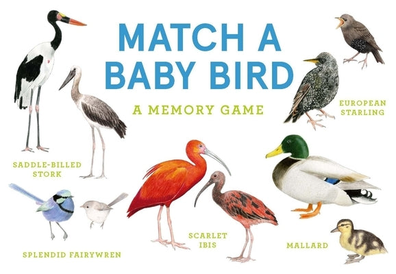 Match a Baby Bird: An Avian Memory Game by Unwin, Mike