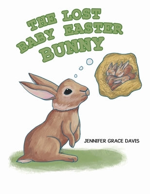 The Lost Baby Easter Bunny by Davis, Jennifer Grace