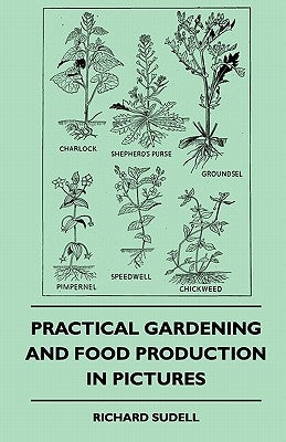 Practical Gardening And Food Production In Pictures by Sudell, Richard