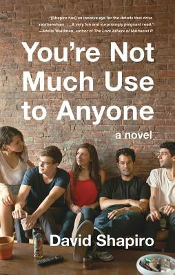 You're Not Much Use to Anyone by Shapiro, David