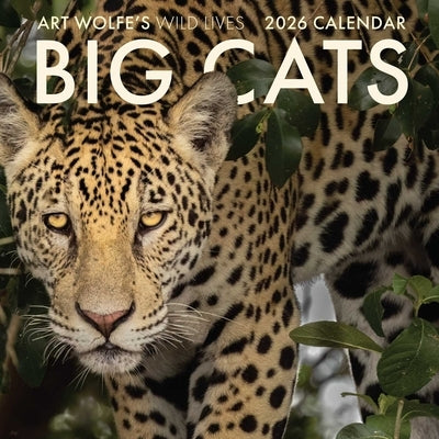 2026 Big Cats Wall Calendar: Art Wolfe's Wild Lives by Wolfe, Art