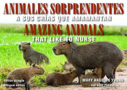 Animales Sorprendentes / Amazing Animals: Que Amamantan a Sus Crias / That Like to Nurse by Young, Mary Angelon