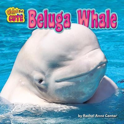 Beluga Whale by Cantor, Rachel Anne