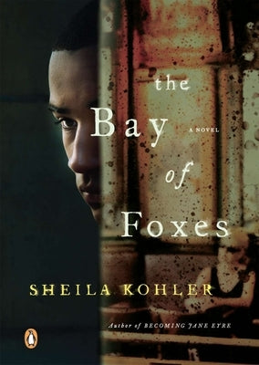 The Bay of Foxes by Kohler, Sheila
