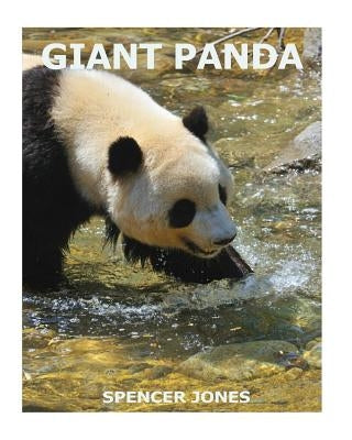 Giant Panda by Jones, Spencer