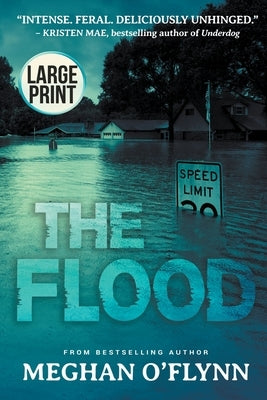 The Flood: A Novel (Large Print) by O'Flynn, Meghan