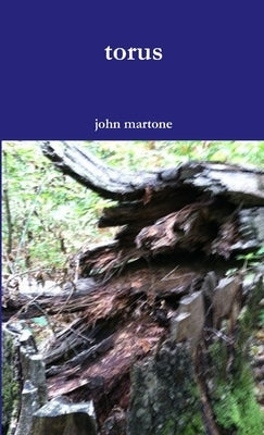 torus by Martone, John