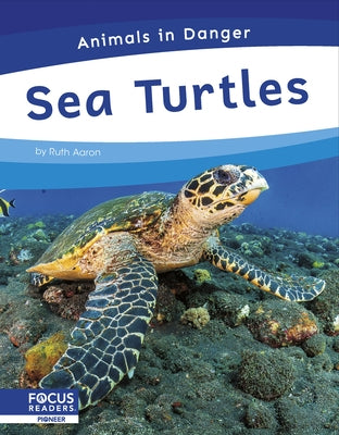 Sea Turtles by Aaron, Ruth