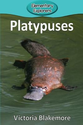 Platypuses by Blakemore, Victoria