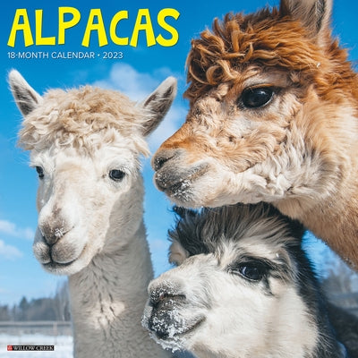 Alpacas 2023 Wall Calendar by Willow Creek Press