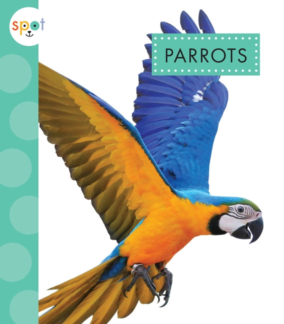 Parrots by Thielges, Alissa