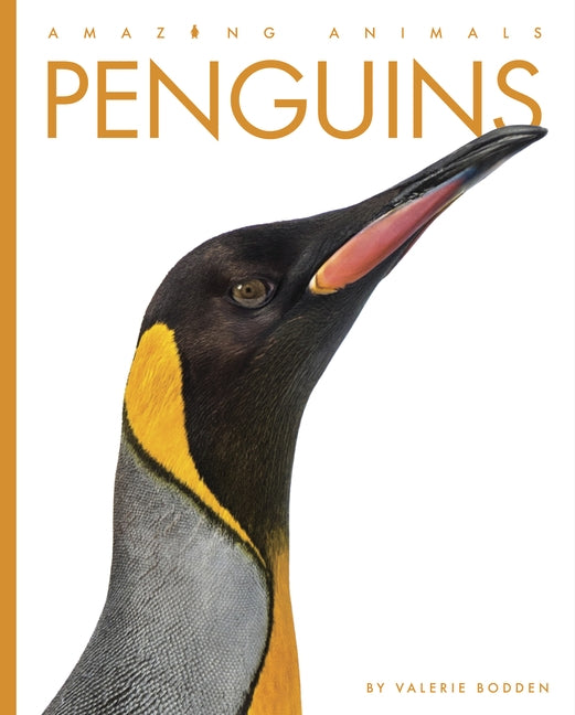 Penguins by Bodden, Valerie