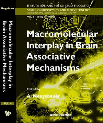 Macromolecular Interplay in Brain Associative Mechanisms by Neugebauer, Anna
