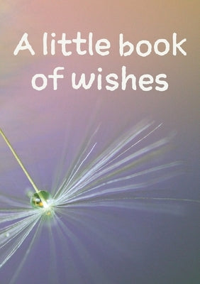 A little book of wishes by Ainslie, Vivienne