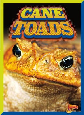 Cane Toads by Ciletti, Barbara