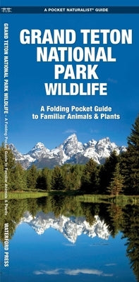 Grand Teton National Park Wildlife by Kavanagh, James