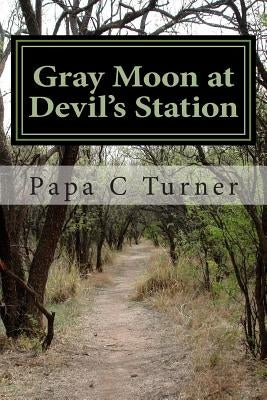 Gray Moon at Devil's Station by Turner, Papa C.