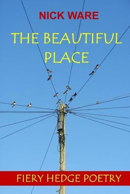 The Beautiful Place by Ware, Nick