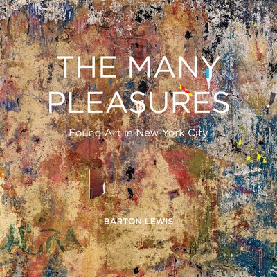 The Many Pleasures: The Found Art of New York City by Lewis, Barton