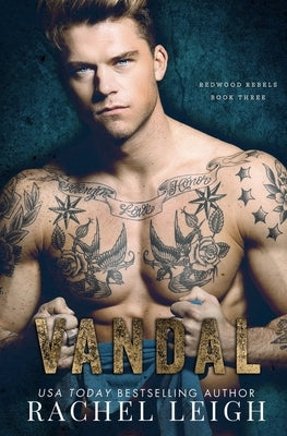 Vandal: An MM Bully Romance by Leigh, Rachel