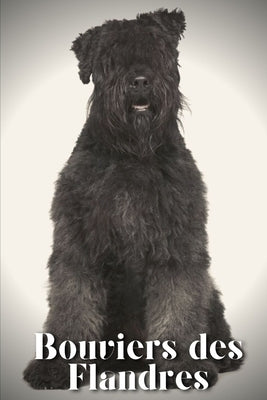 Bouviers des Flandres: Dog breed overview and guide by Pustova, Nina