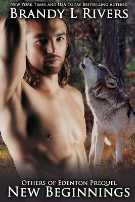 New Beginnings by Rivers, Brandy L.