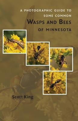 A Photographic Guide to Some Common Wasps and Bees of Minnesota by King, Scott