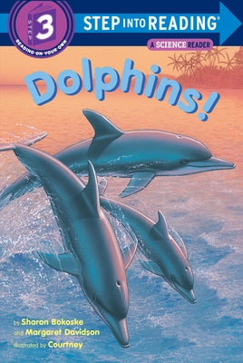 Dolphins! by Bokoske, Sharon
