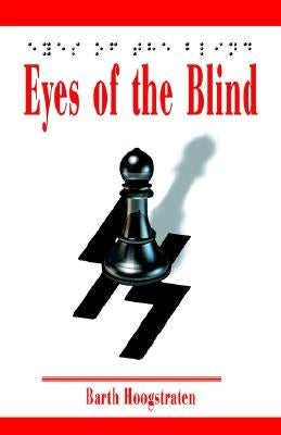Eyes of the Blind by Hoogstraten, Barth