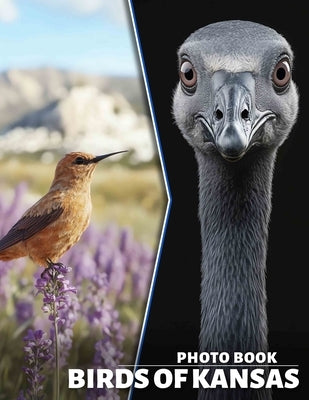 Birds of Kansas Photo Book: Explore 40 Stunning Images Showcasing Kansas' Avian Wildlife For Enthusiasts And Nature Lovers by Collins, Richard