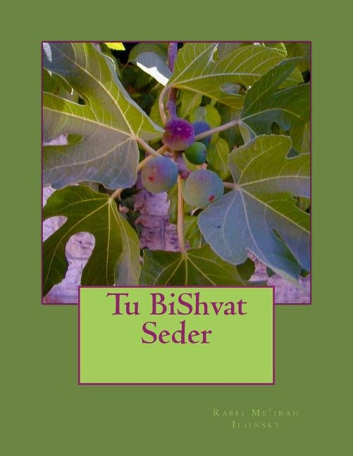Tu BiShvat Seder by Iliinsky, Rabbi Me'irah