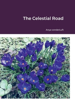 The Celestial Road by Vonderluft, Anya